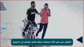 القبض على لص أثناء محاولة سرقة هاتف مواطن في الأميرية